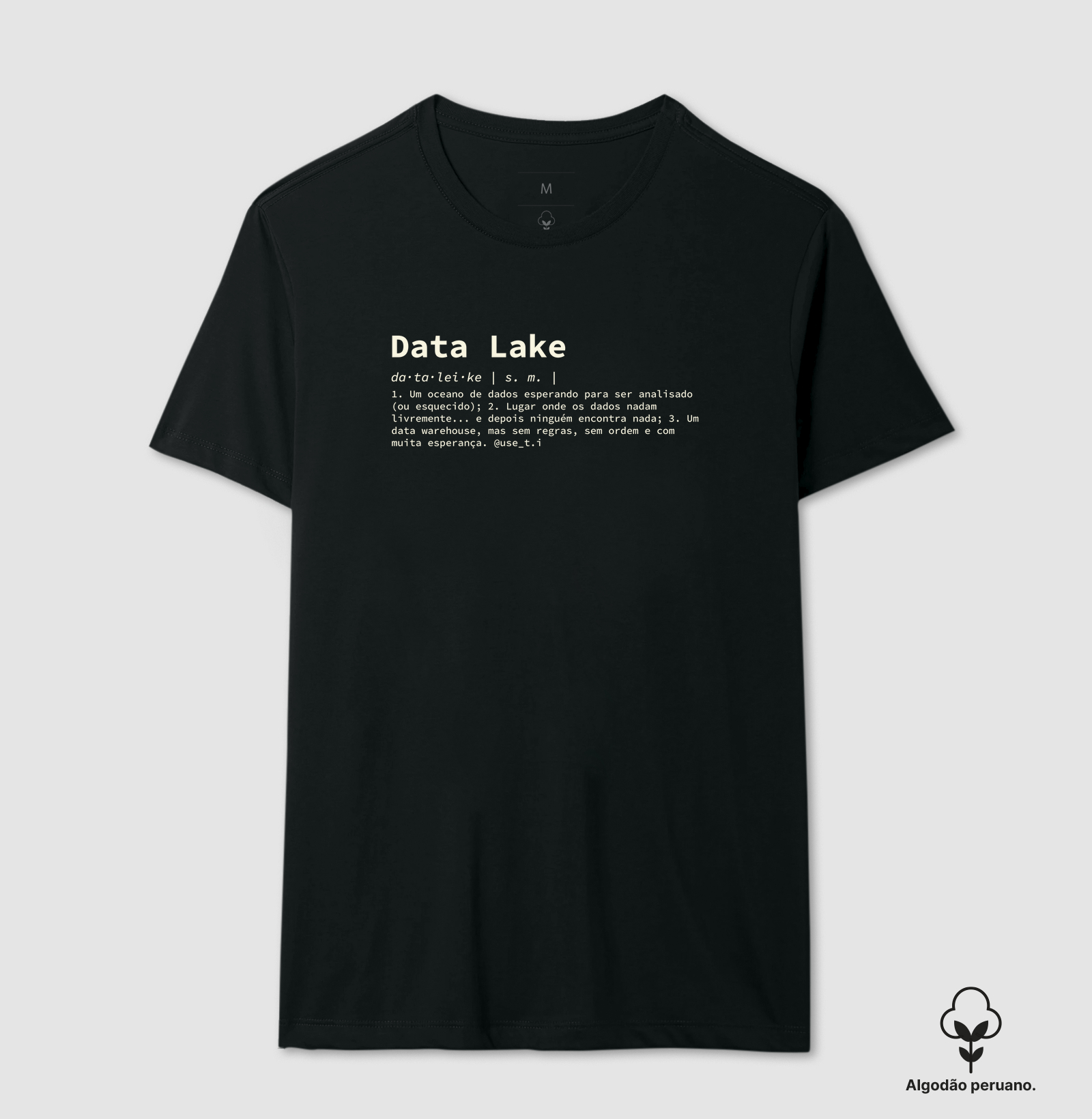 "Data Lake" T.I