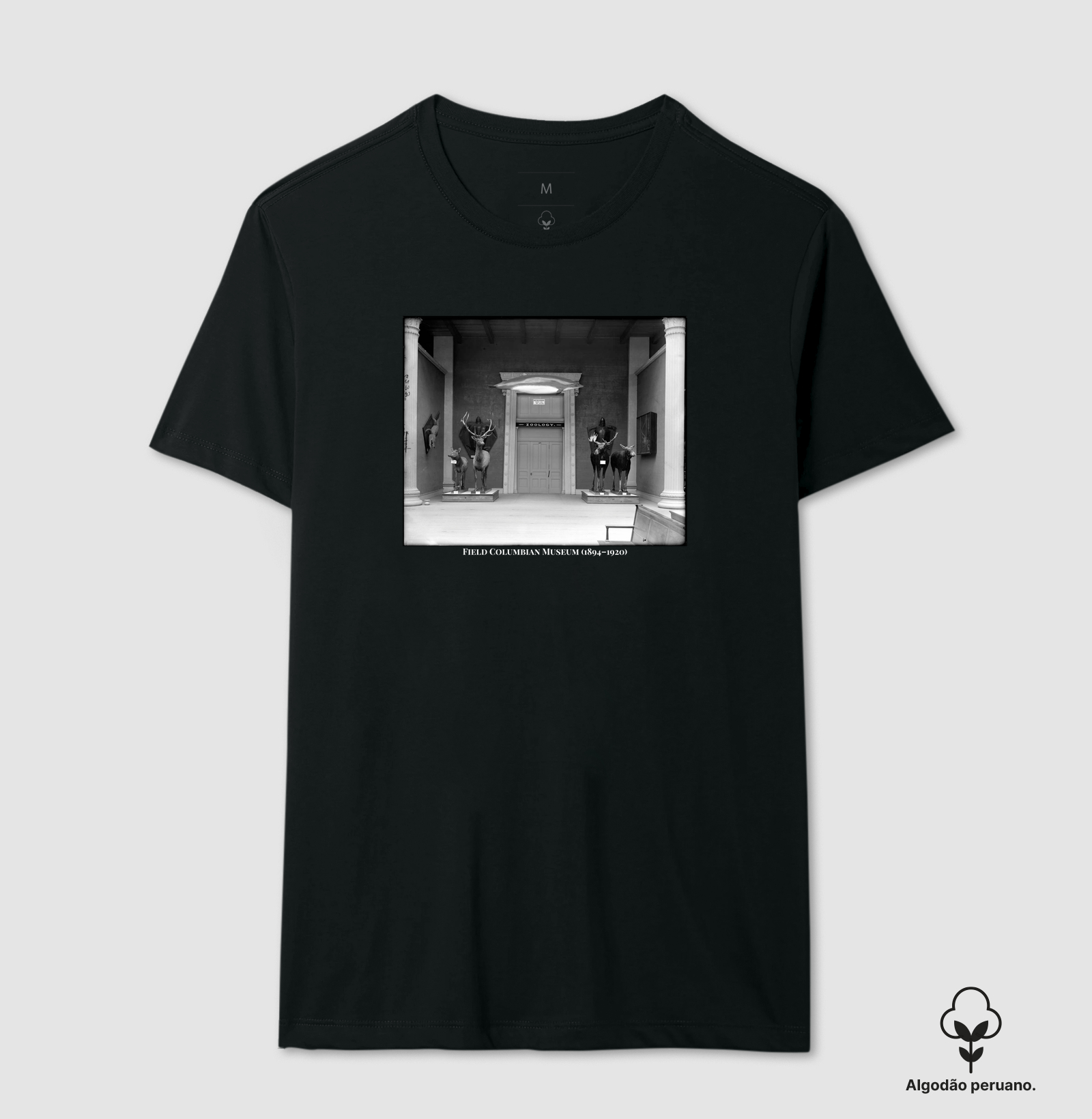 Field Columbian Museum (1894–1920)