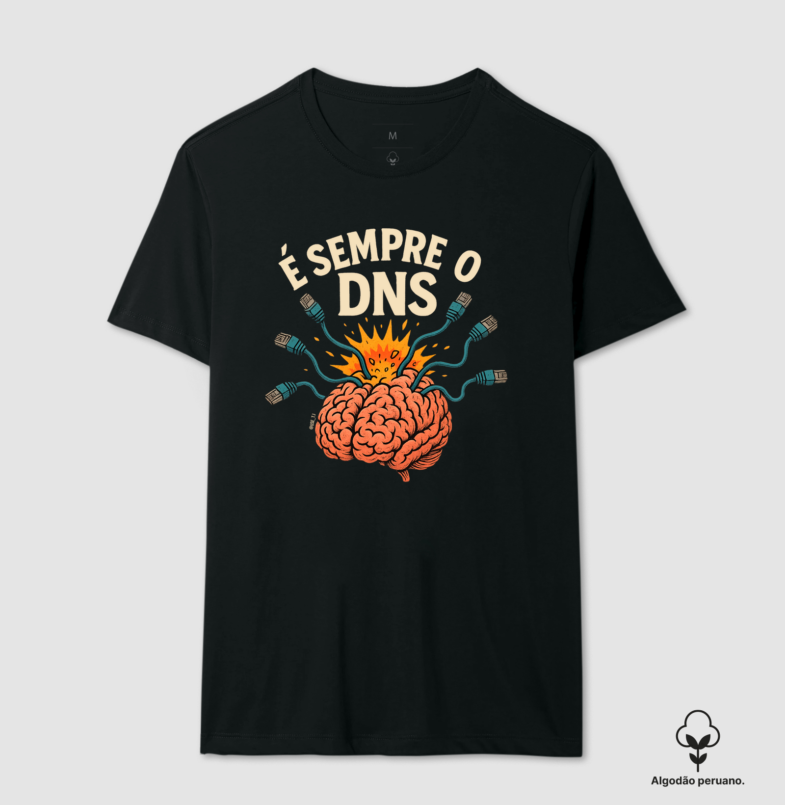"É sempre o DNS II" T.I