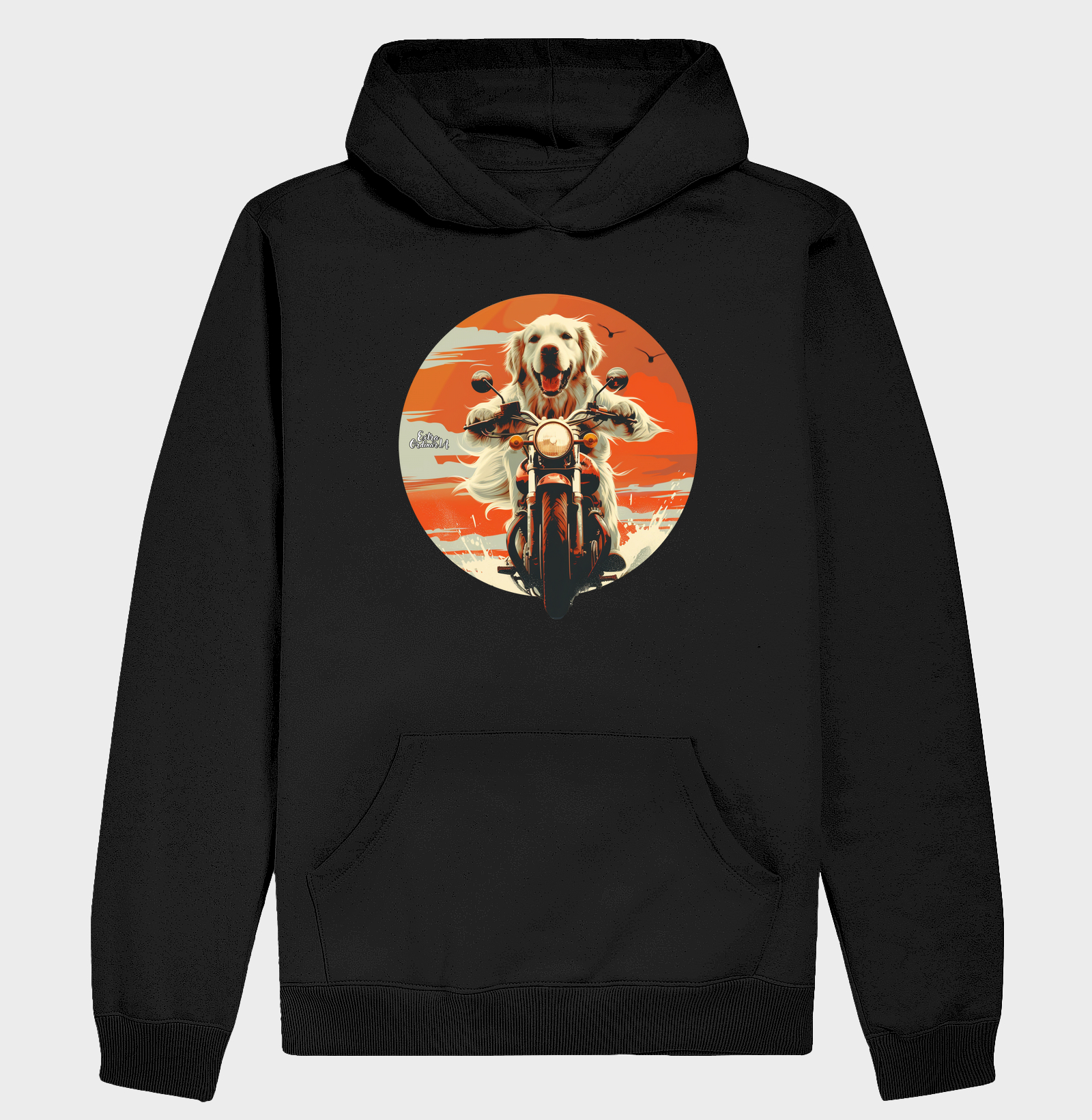 Golden Retriever Motociclista