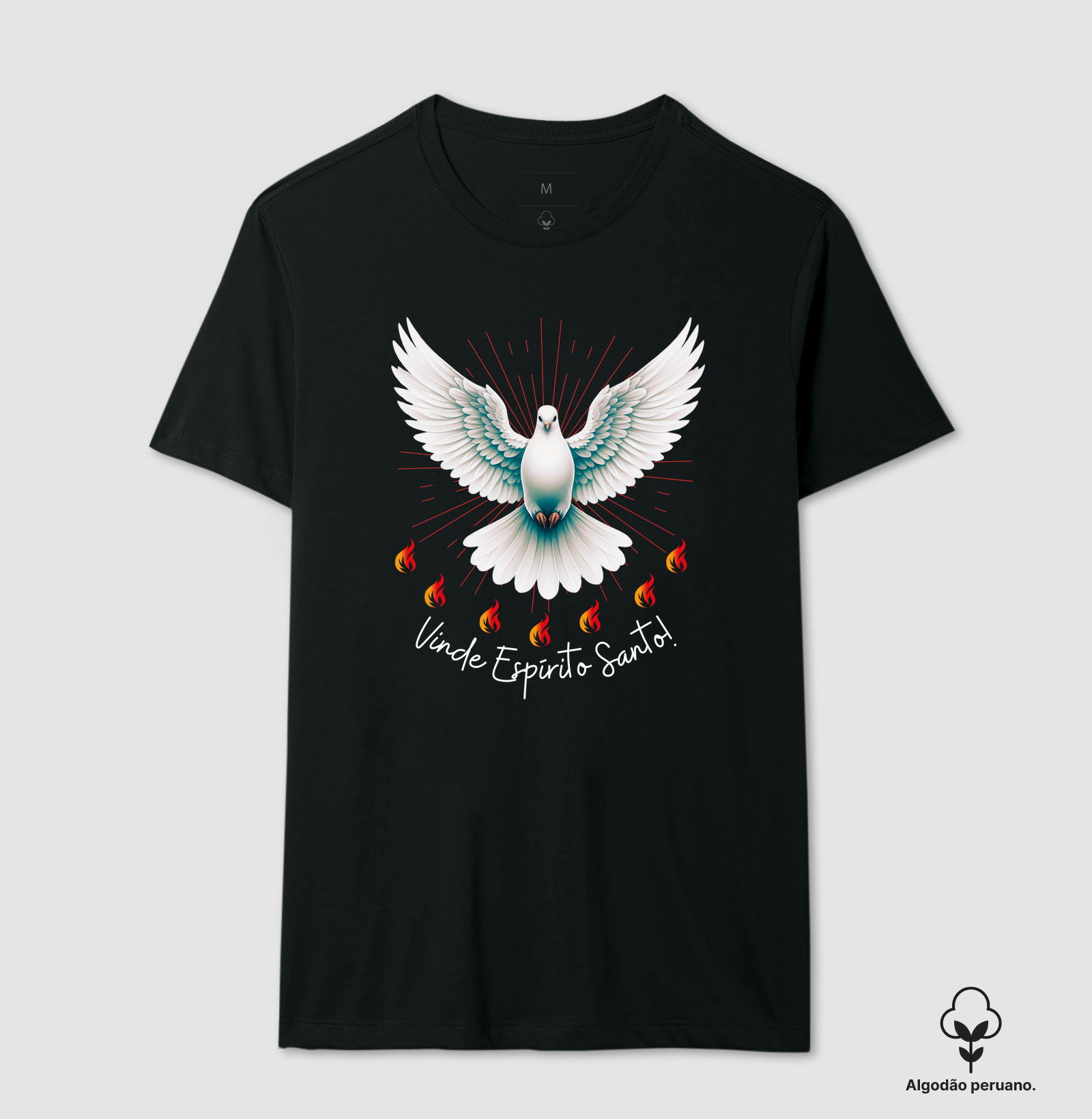 Vinde Espírito Santo de Deus!