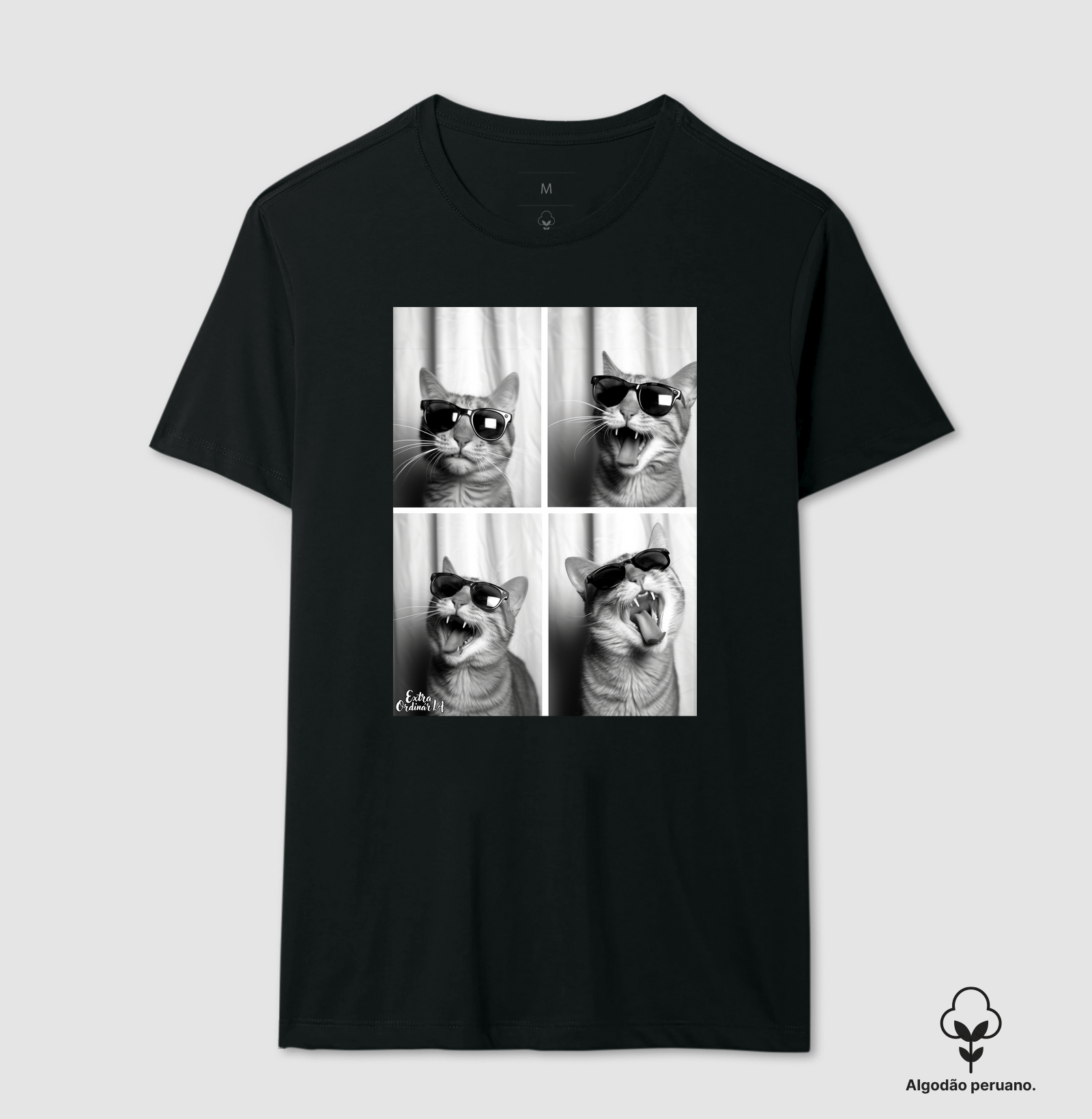 Ensaio Fotografico: Gato de Óculos  