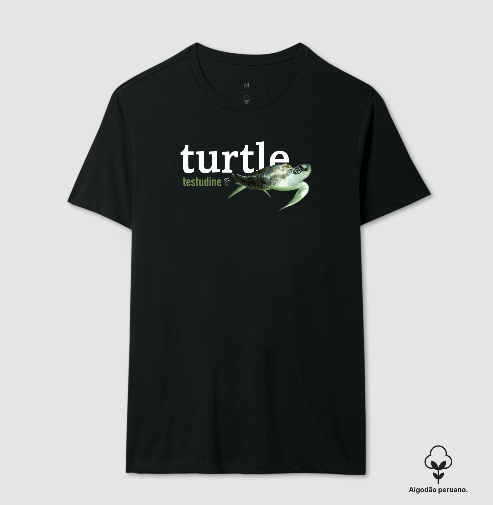 Turtle
