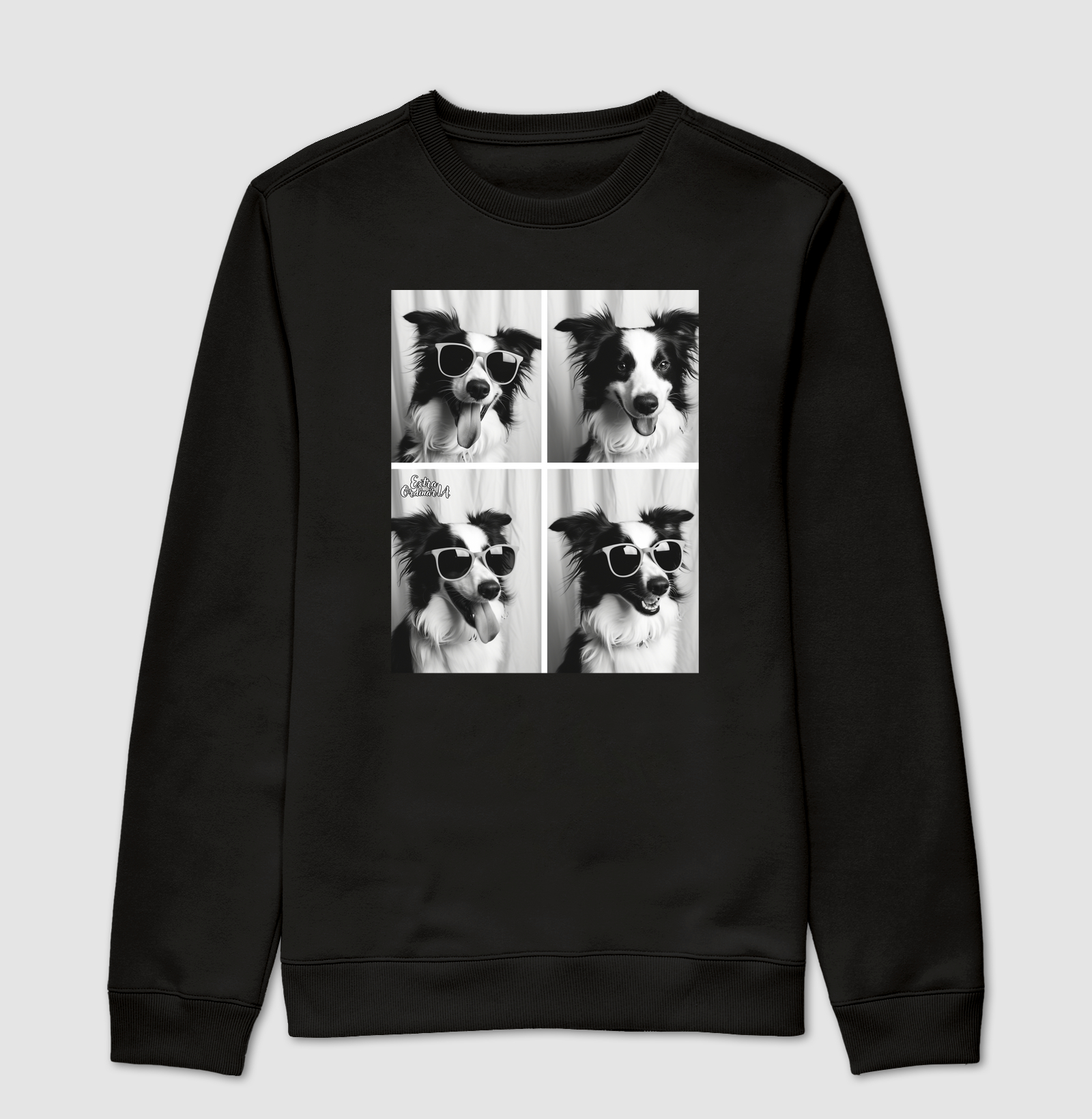 Border Collie Ensaio Photobooh 