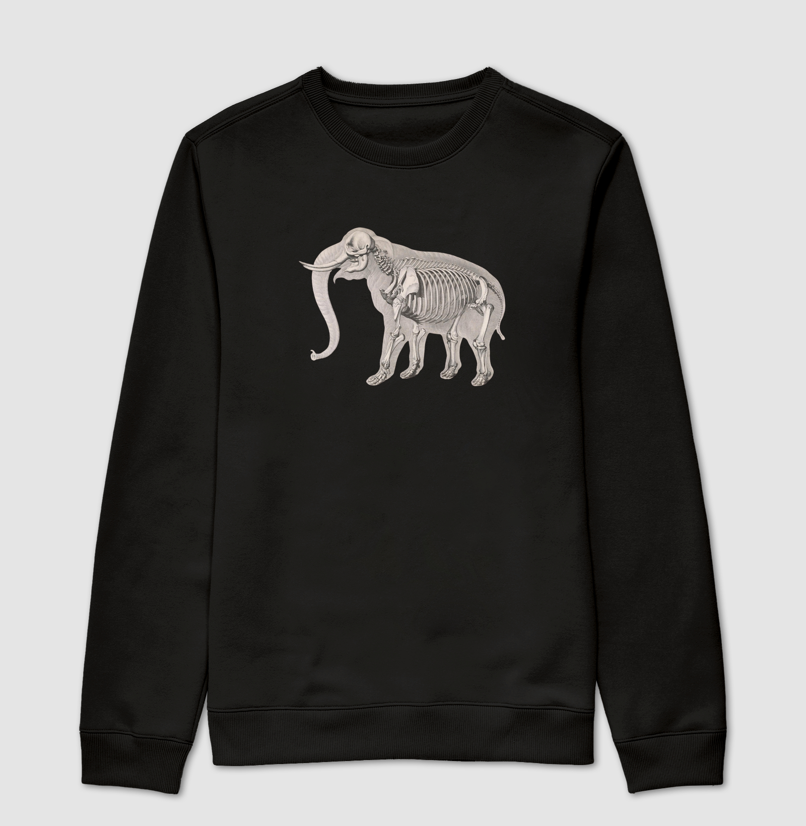 Esqueleto elefante (1821–38)