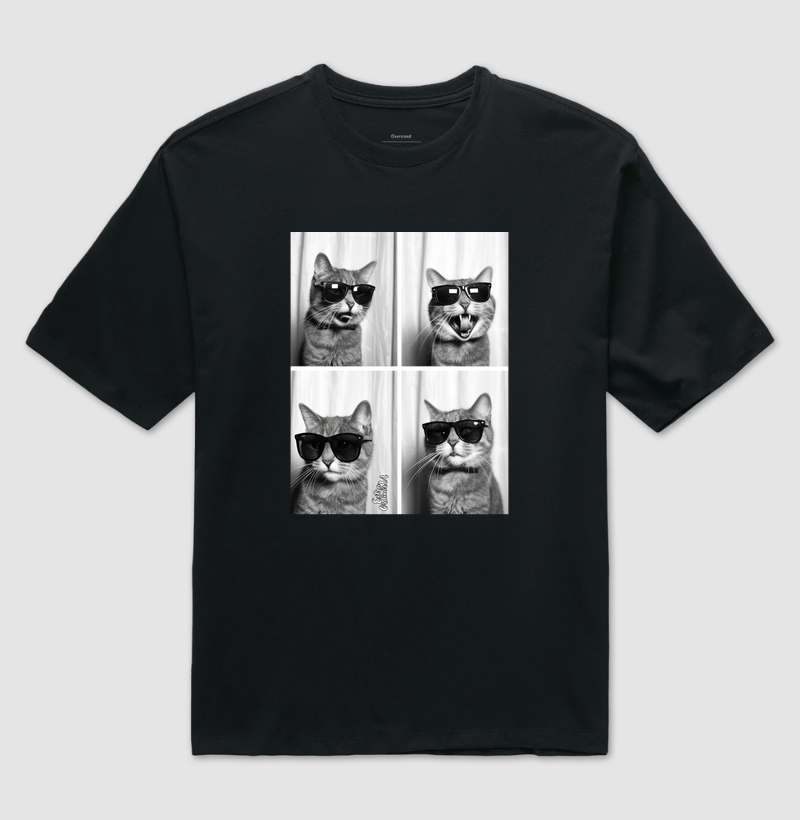 Gato de Óculos Ensaio Fotografico