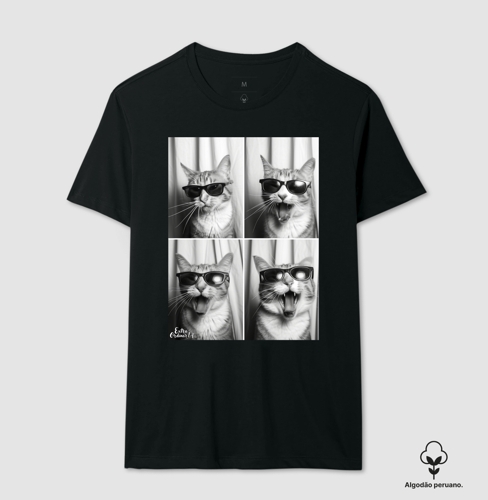 Ensaio Fotografico: Gato de Óculos