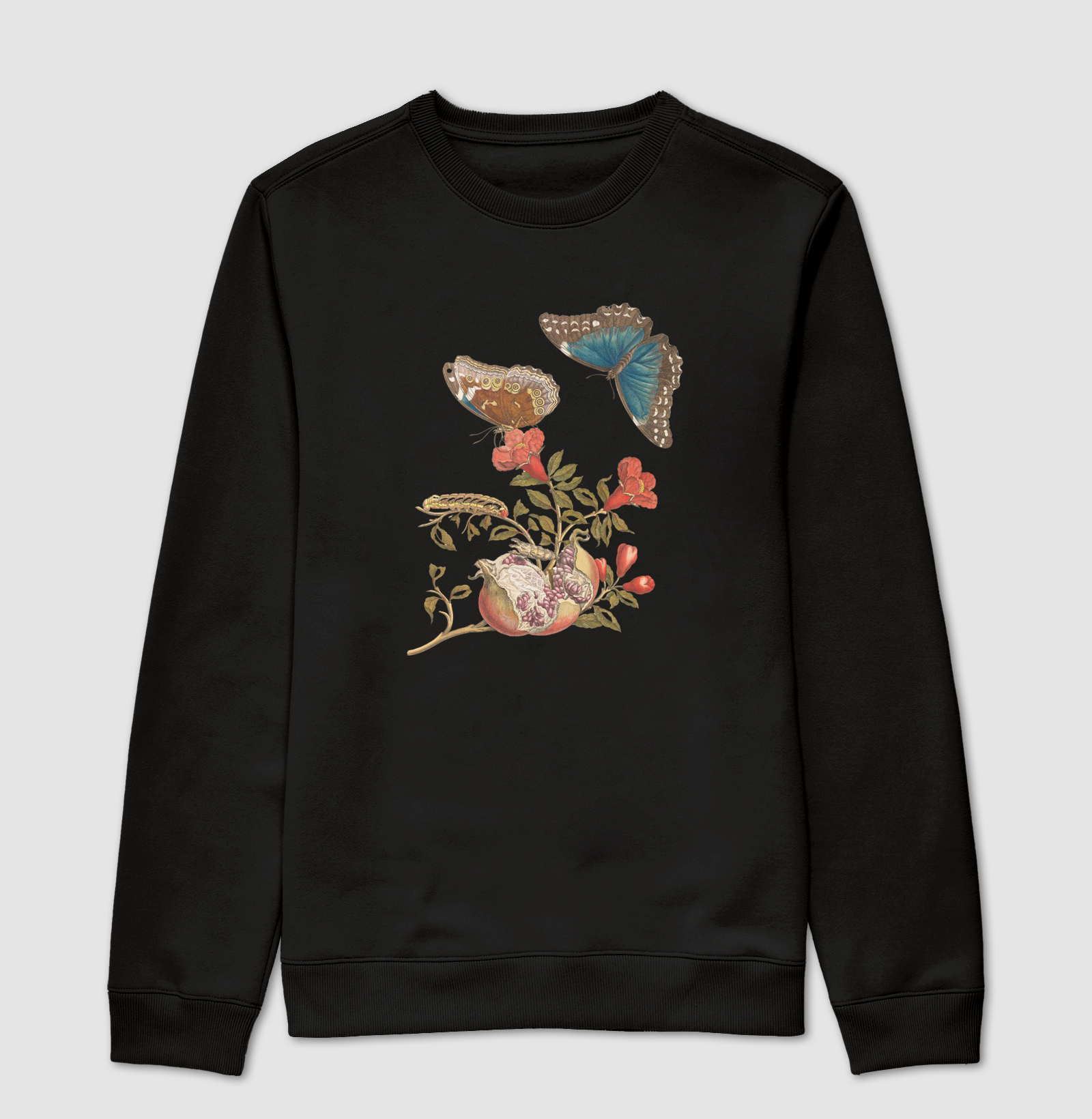 Metamorfose de Merian II (1705)