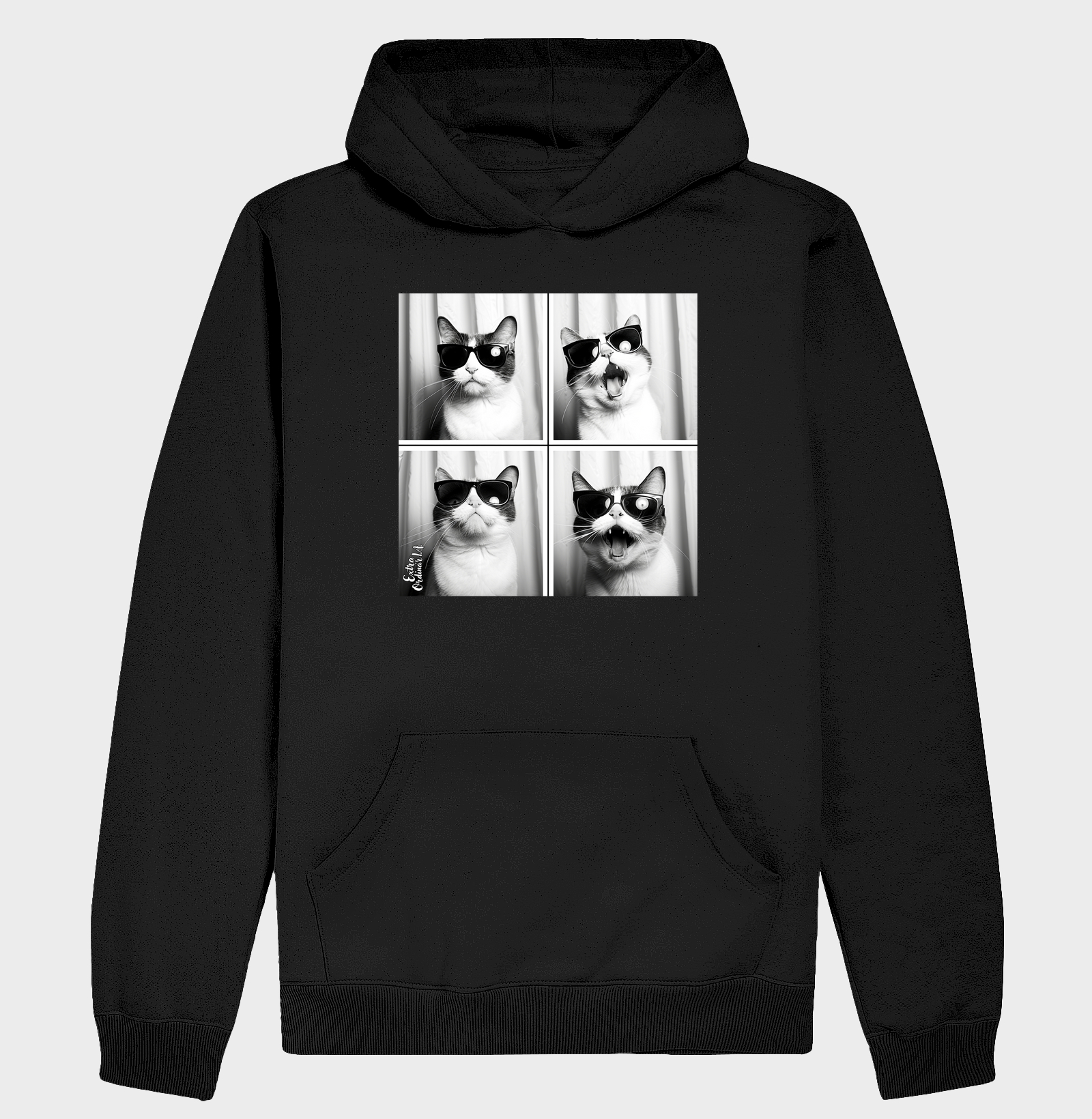 Gato Tricolor de Óculos Ensaio Fotografico