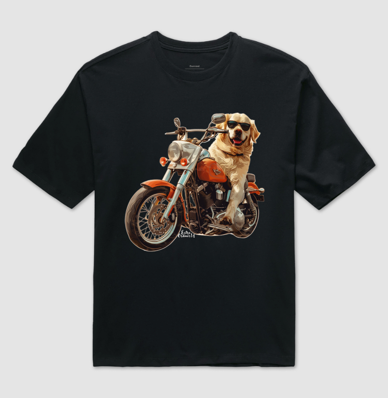 Golden Retriever Motociclista