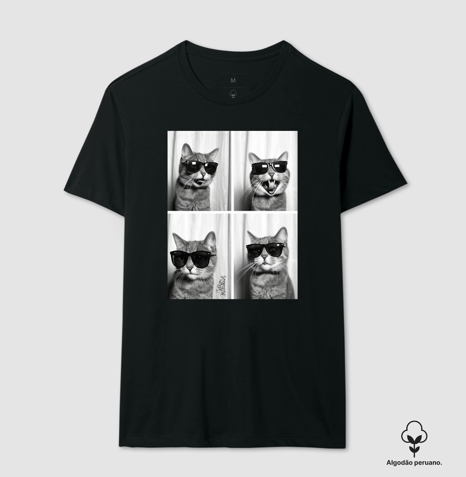 Gato de Óculos Ensaio Fotografico