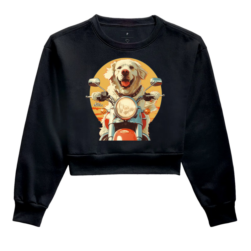 Golden Retriever Motociclista