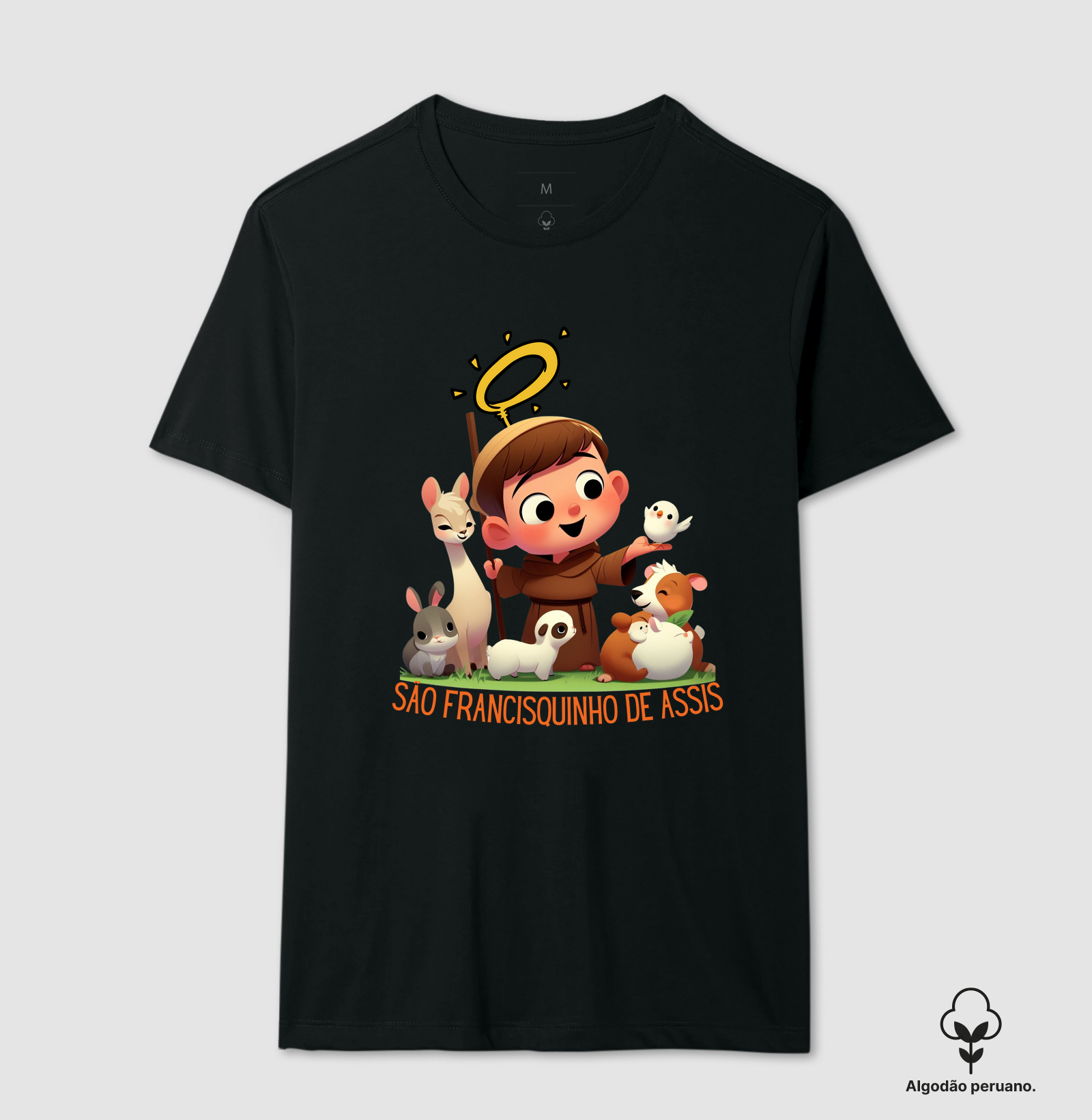 Sâo Francisquinho de Assis, rogai por nós!