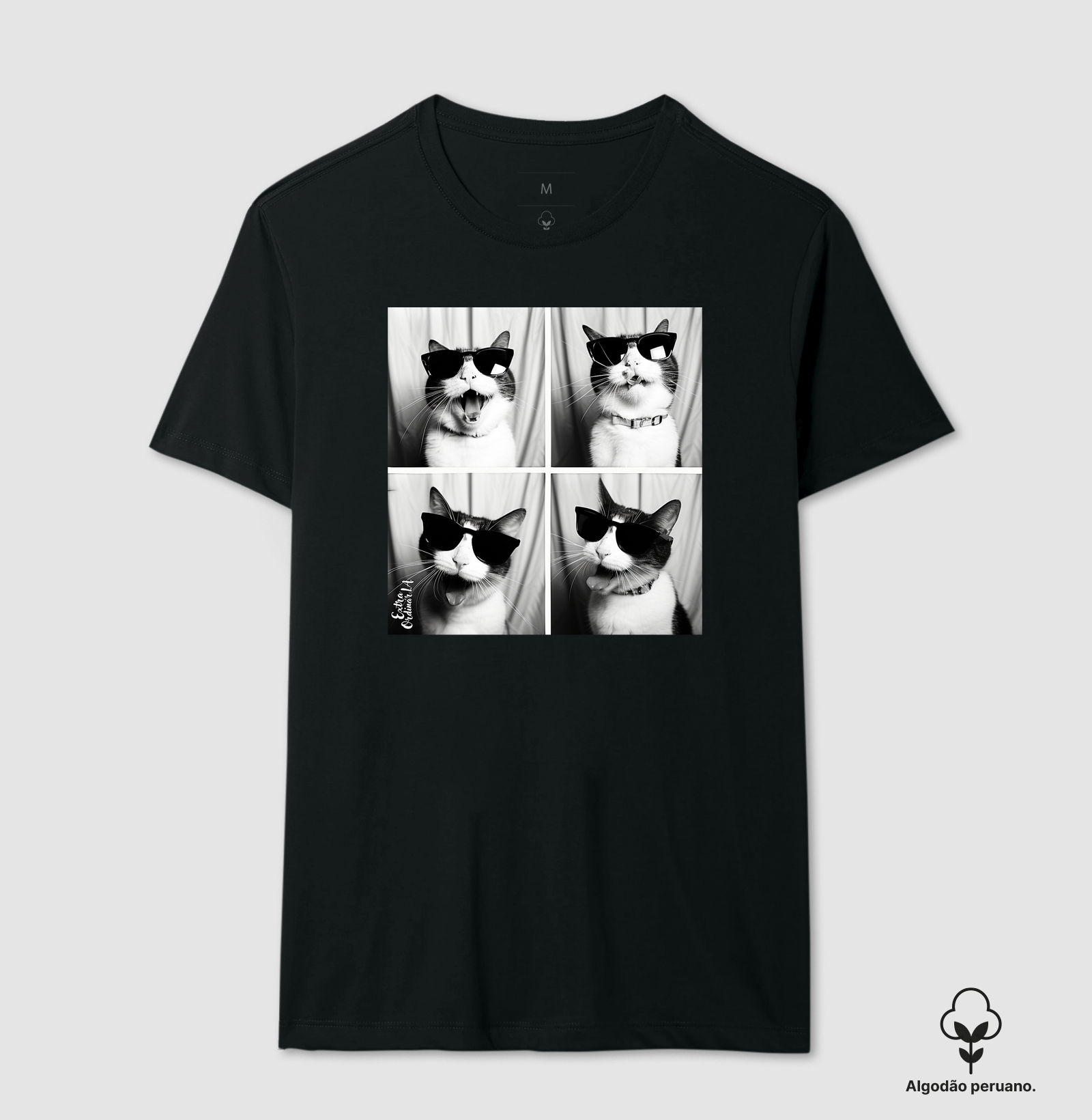 Gato Tricolor de Óculos Ensaio Fotografico