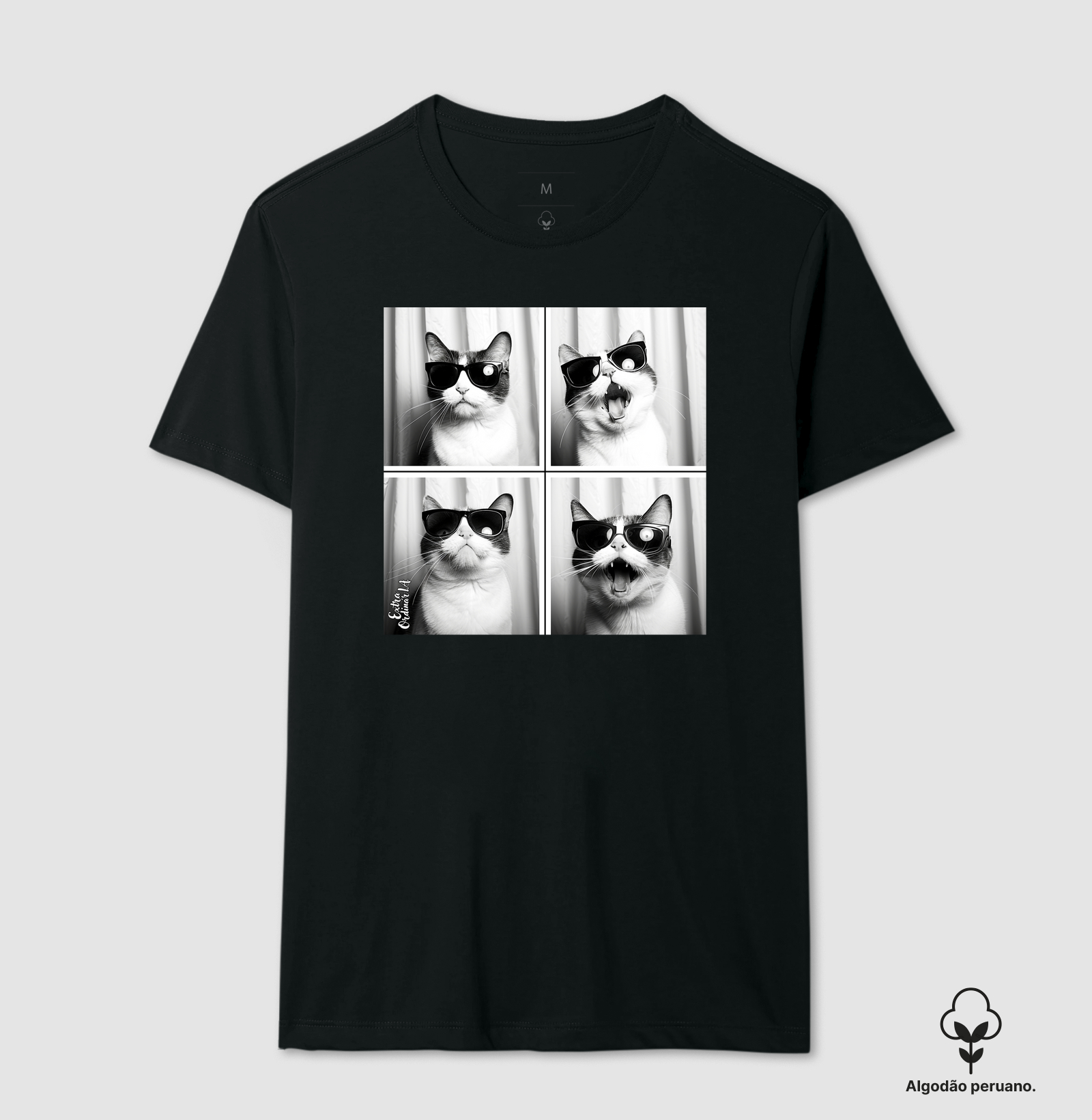 Gato Tricolor de Óculos Ensaio Fotografico