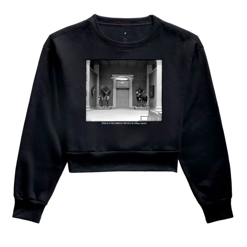 Field Columbian Museum (1894–1920)