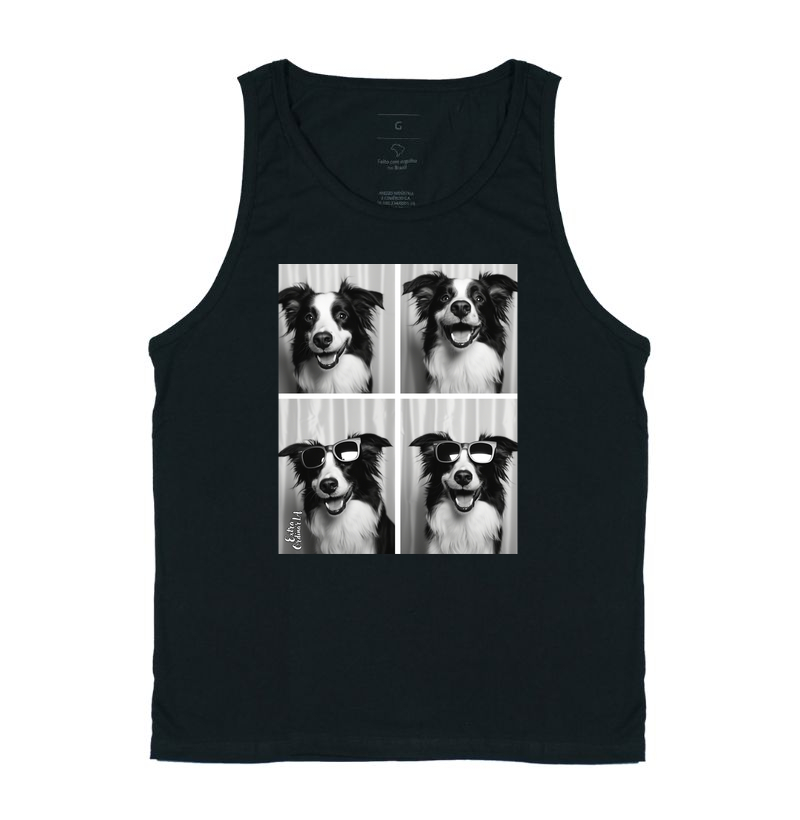 Border Collie Ensaio Fotográfico 