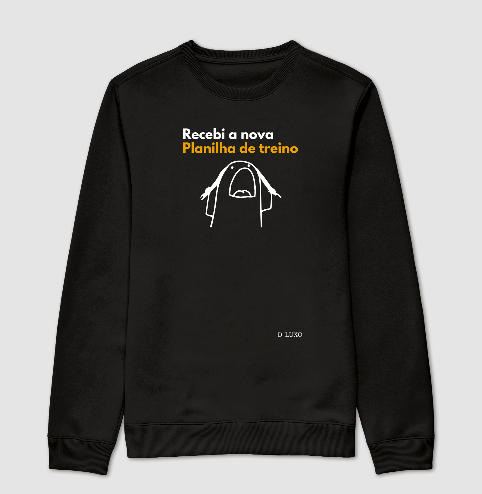 Recebi a Nova Planilha de Treino