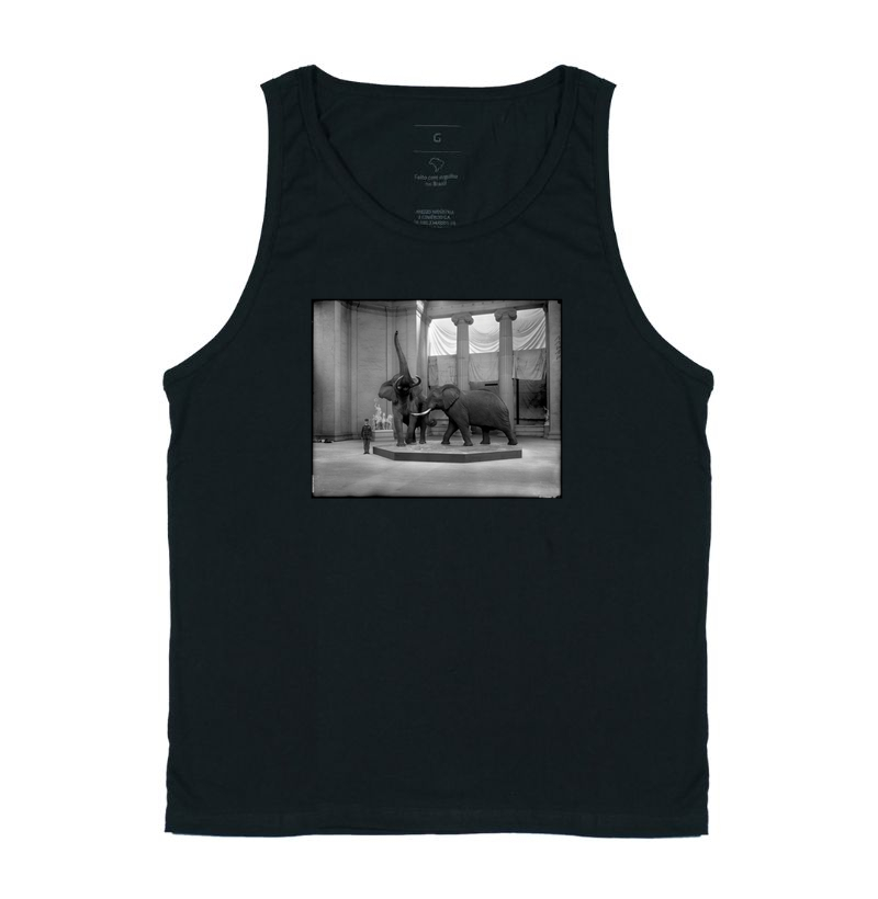 Field Columbian Museum II (1894–1920)