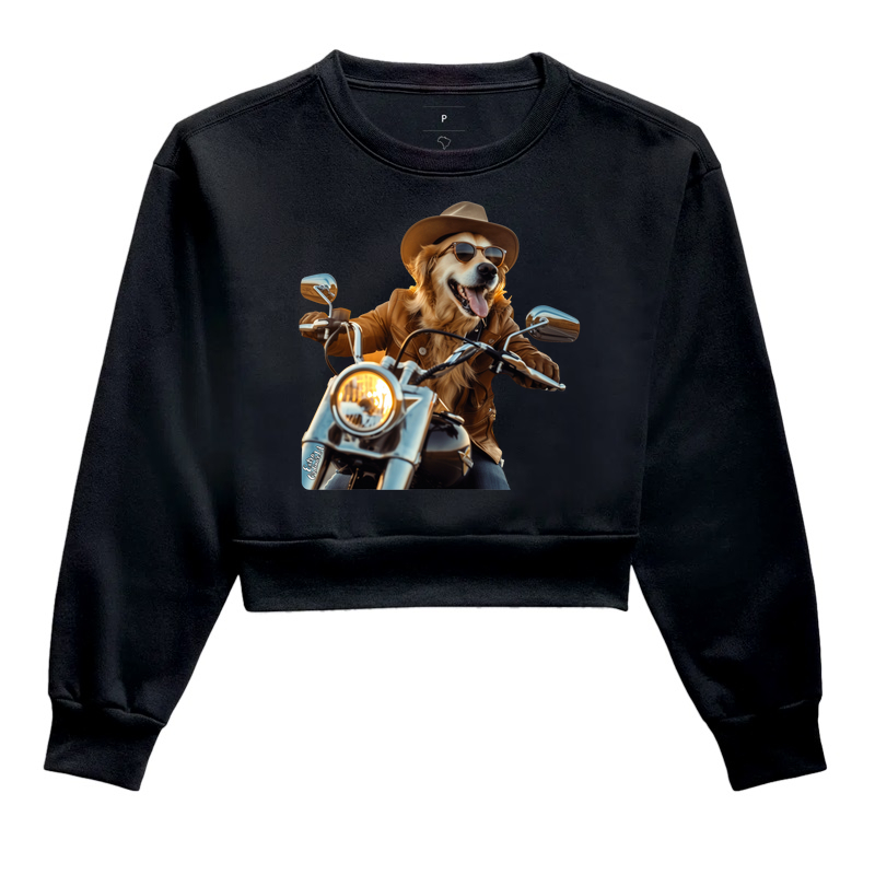 Golden Retriever Motociclista