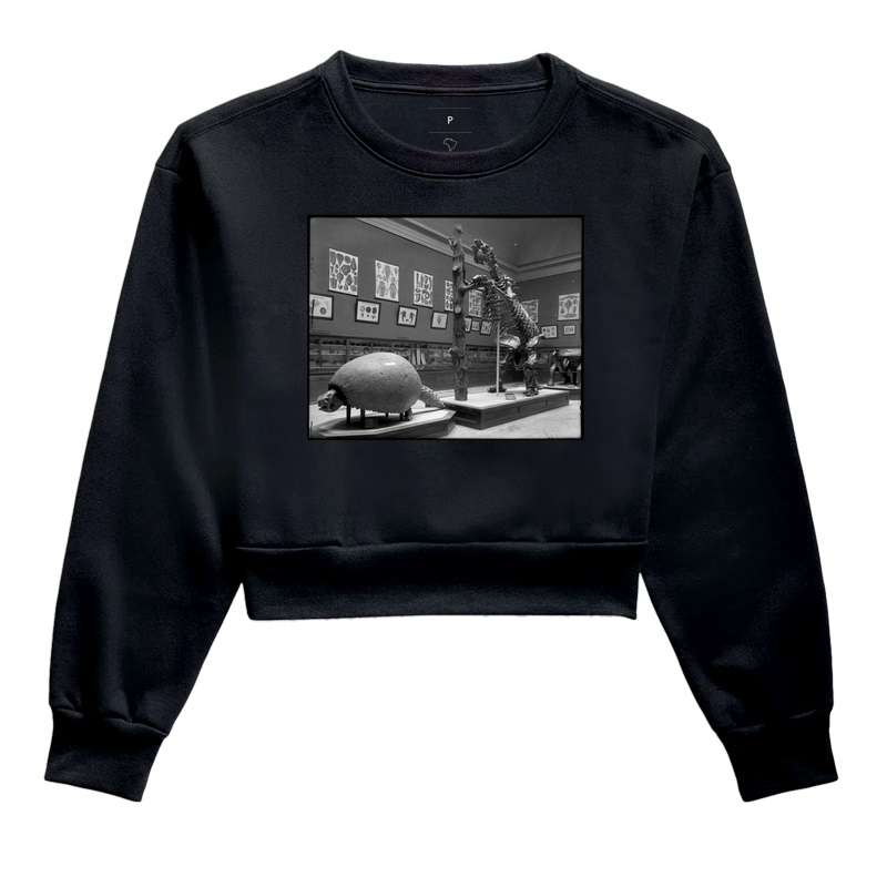 Field Columbian Museum III (1894–1920)