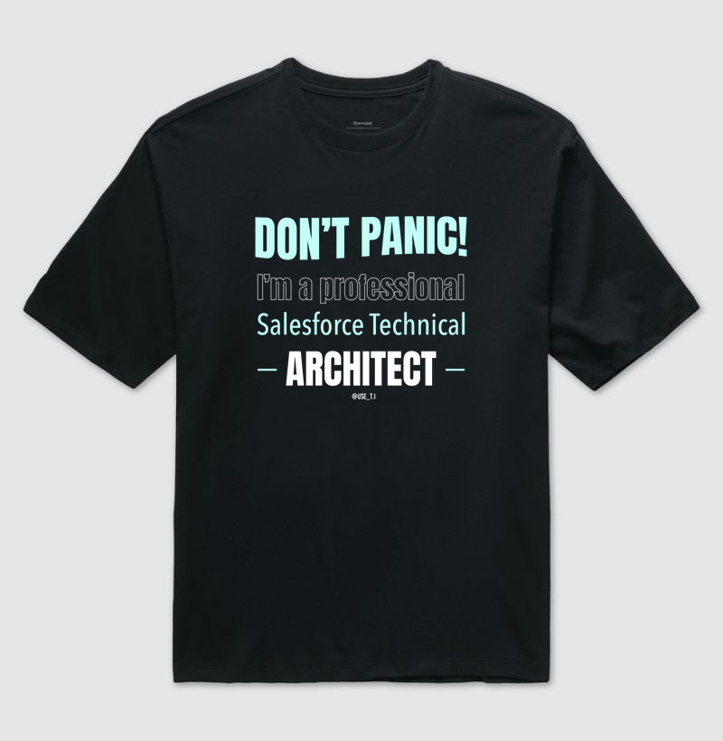 "Don't Panic - Salesforce Professional III" T.I