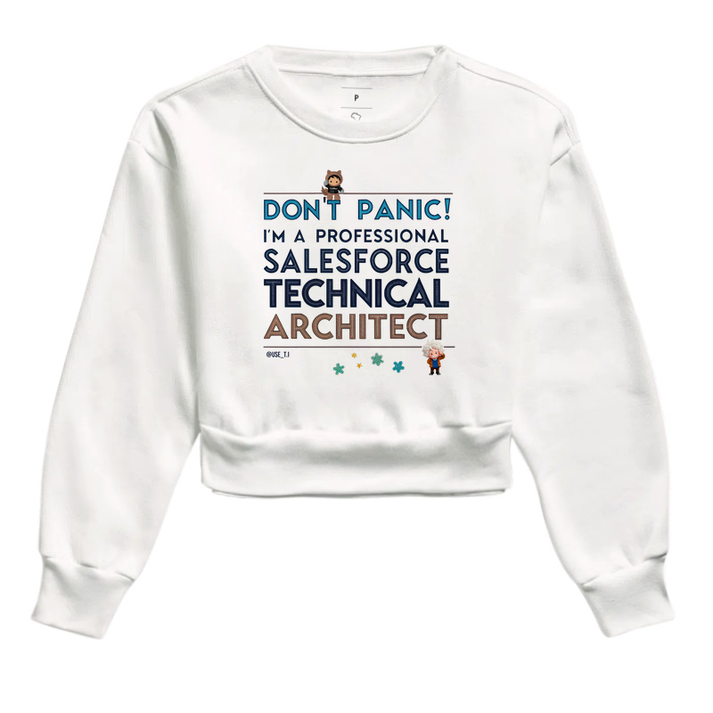 "Don't Panic - Salesforce Professional II" T.I
