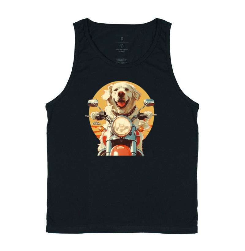 Golden Retriever Motociclista