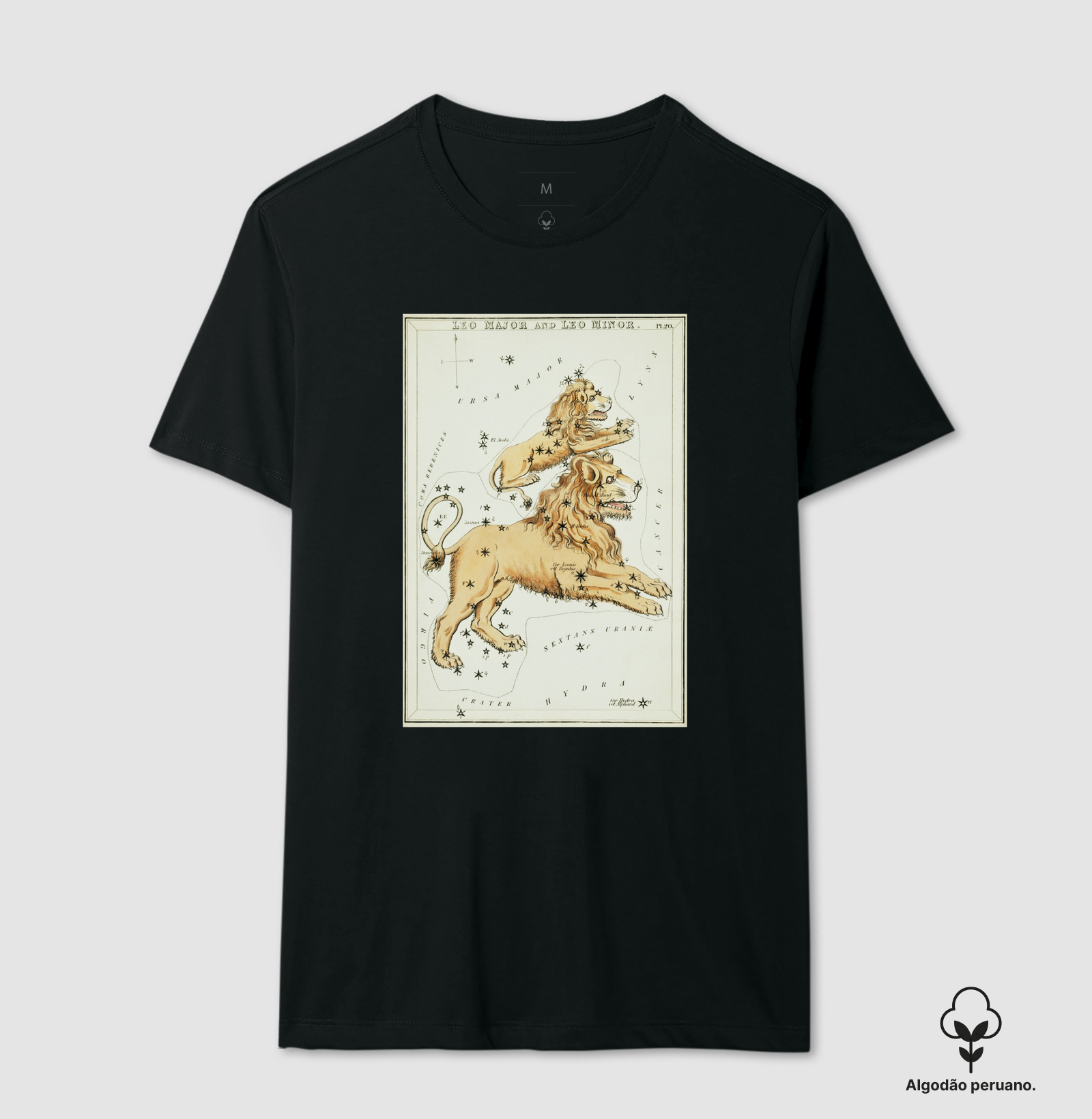 Leão - Signos e constelações (1825)