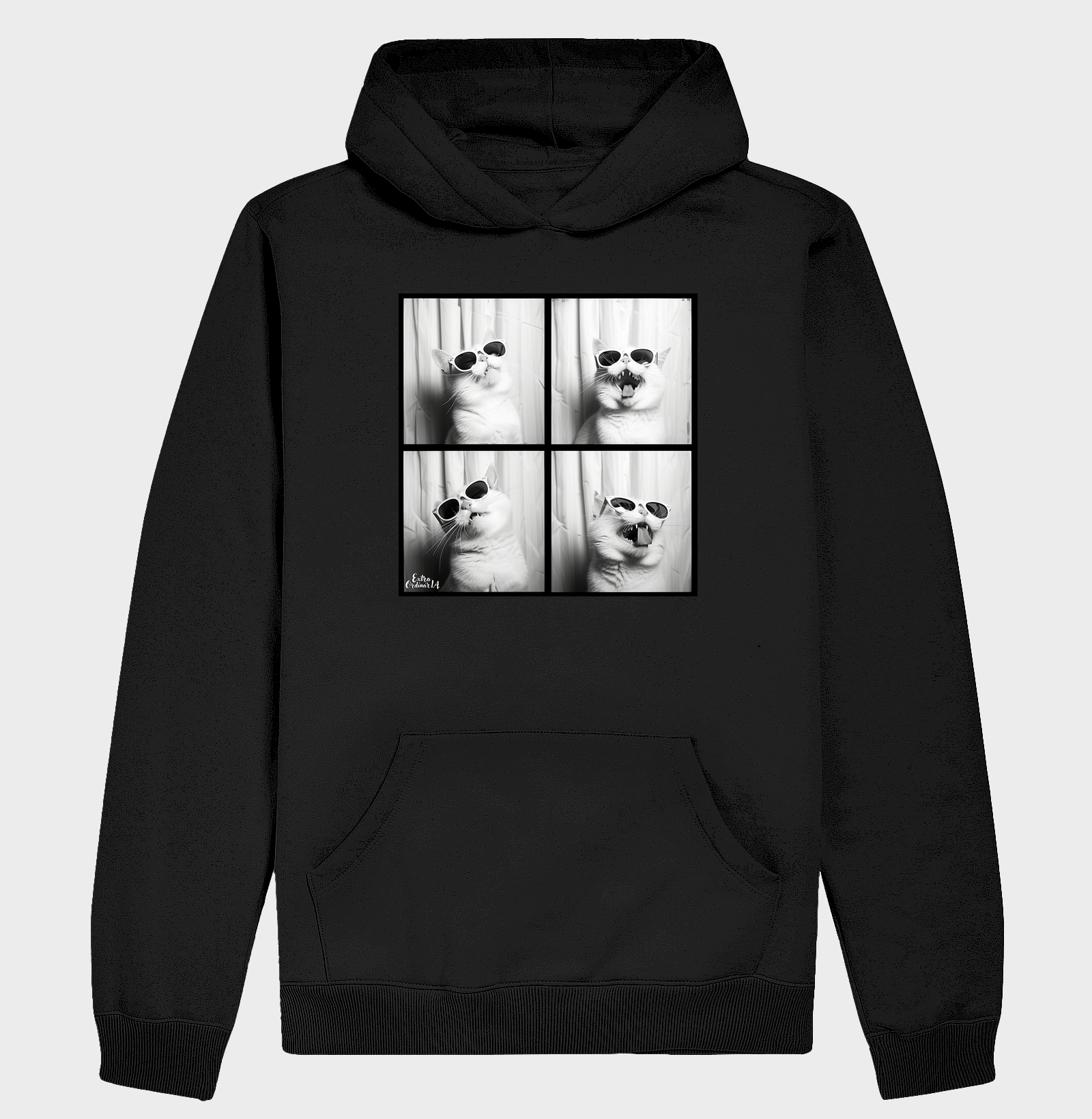 Ensaio Fotografico Gato Branco 