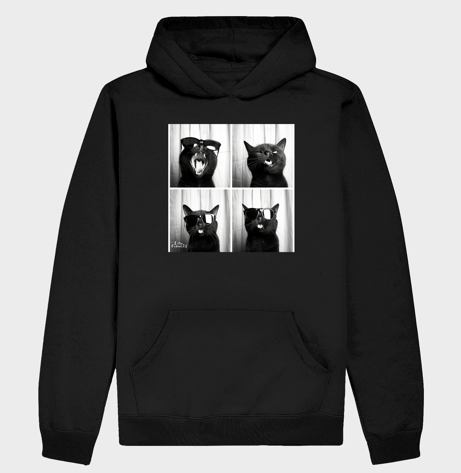 Gato Preto de Oculos Ensaio Fotografico