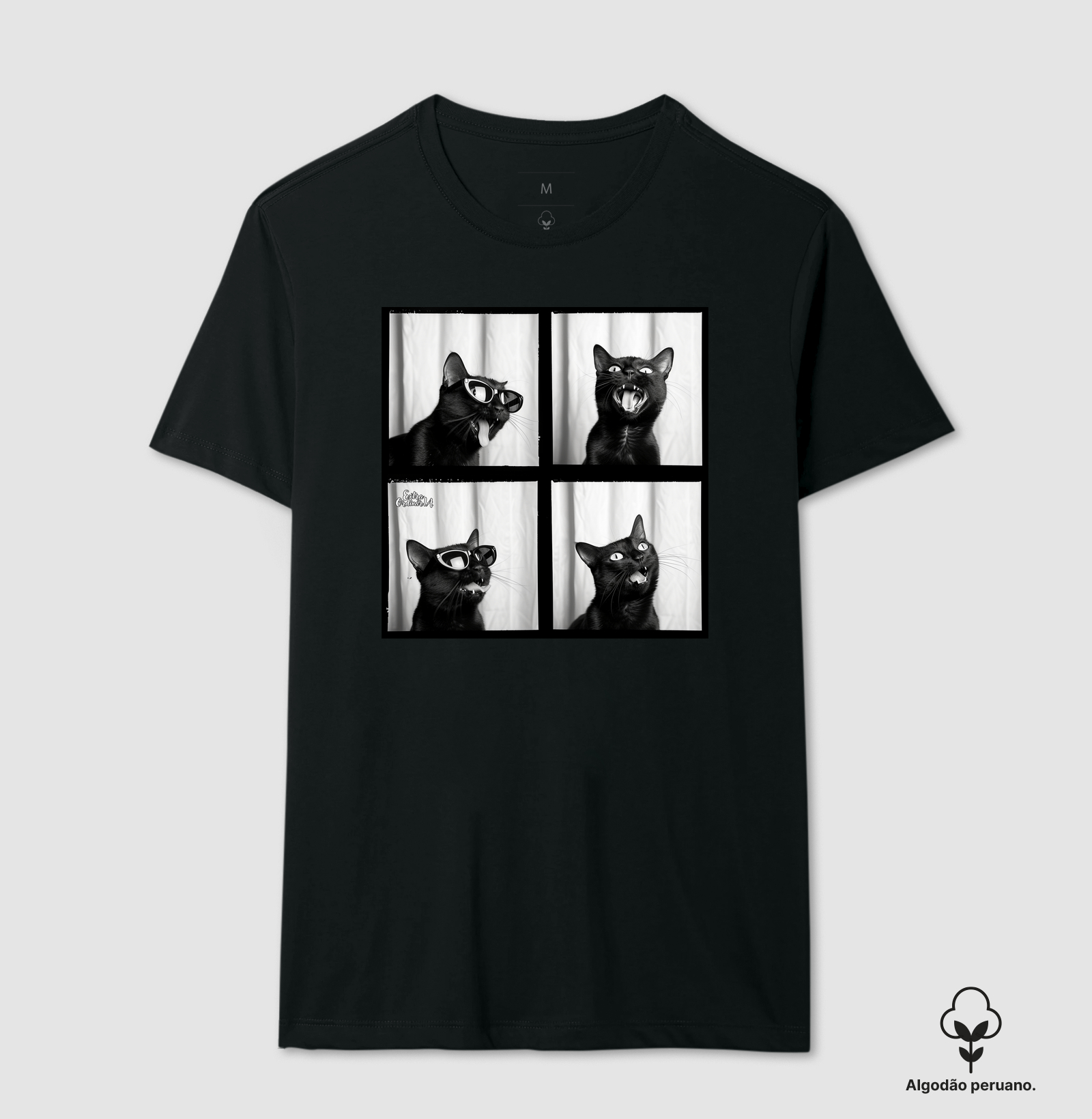 Gato Preto de Oculos Ensaio Fotografico