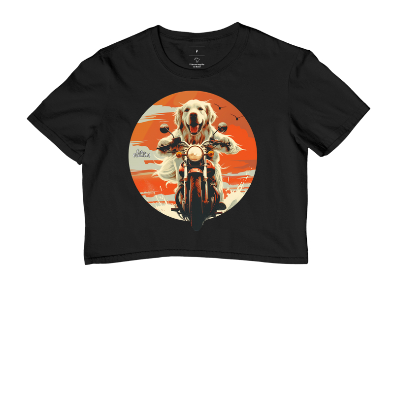 Golden Retriever Motociclista