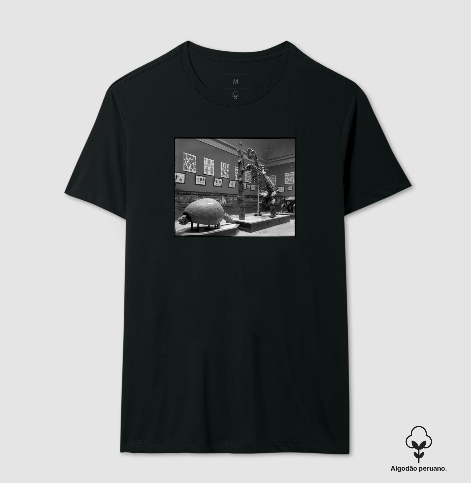 Field Columbian Museum III (1894–1920)