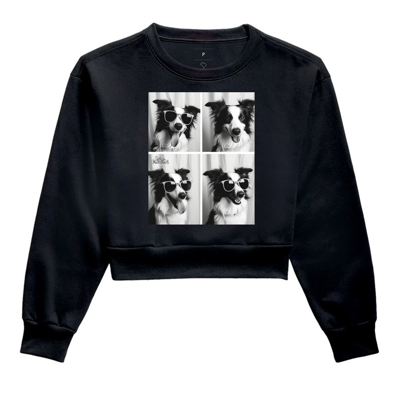 Border Collie Ensaio Photobooh 