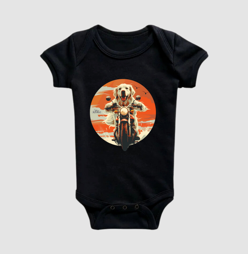 Golden Retriever Motociclista