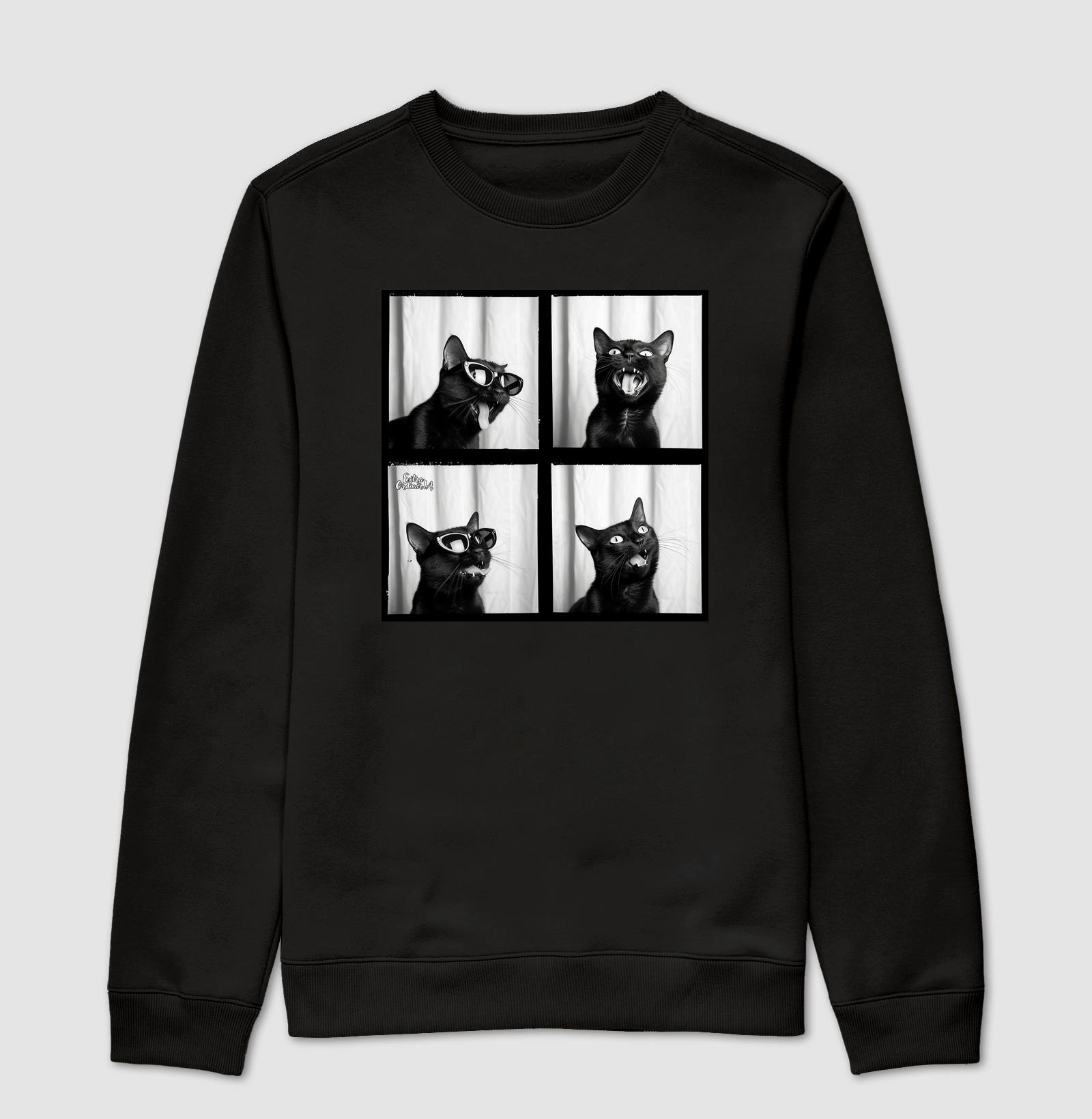 Gato Preto de Oculos Ensaio Fotografico