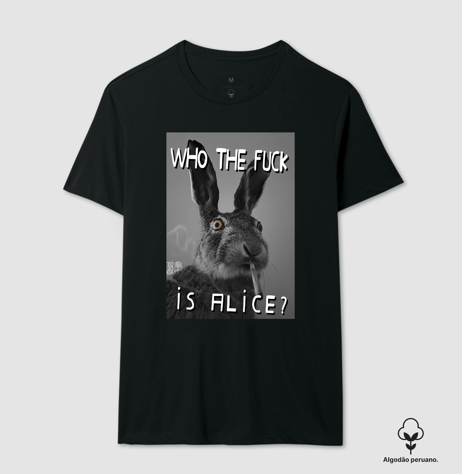 Who the fuck is Alice?