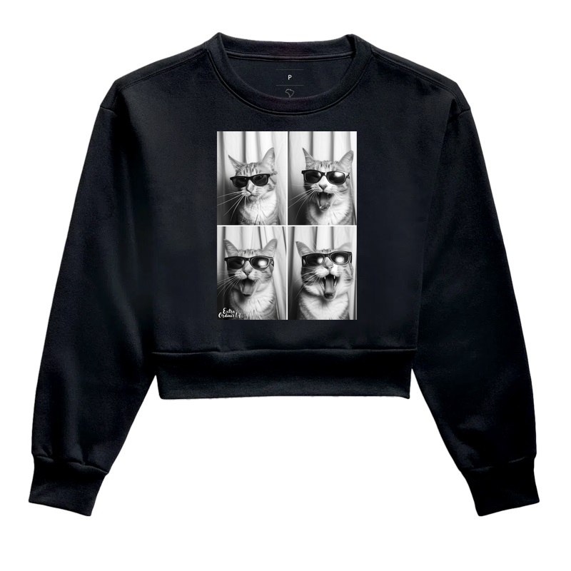 Ensaio Fotografico: Gato de Óculos