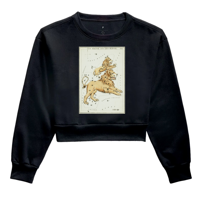 Leão - Signos e constelações (1825)