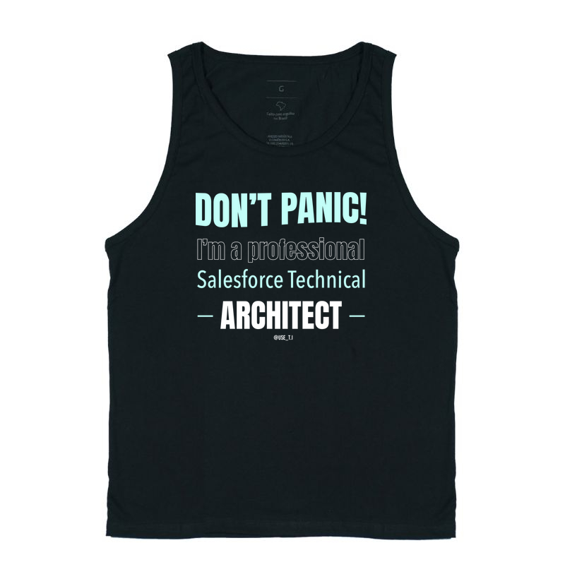 "Don't Panic - Salesforce Professional III" T.I