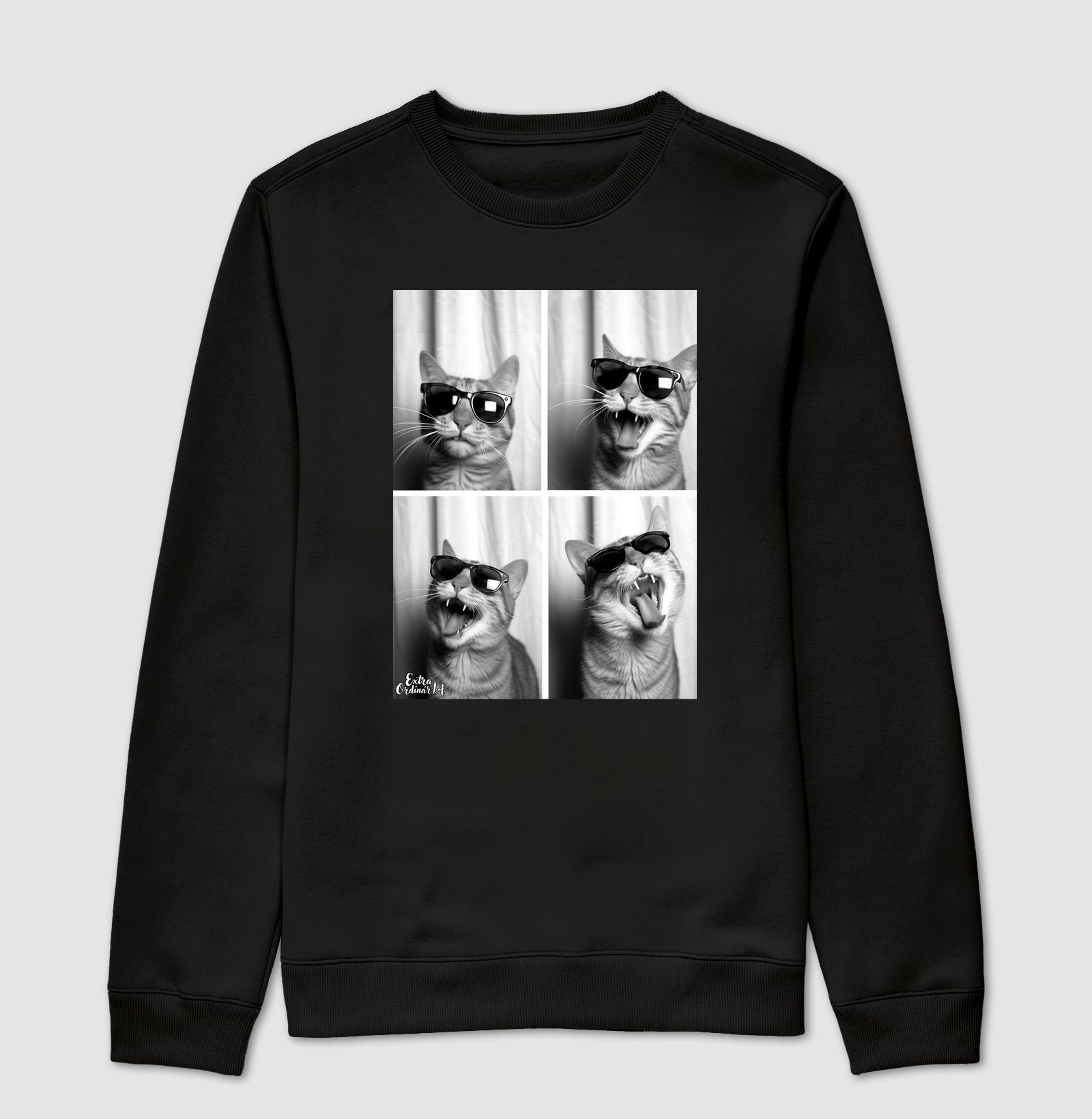 Ensaio Fotografico: Gato de Óculos  