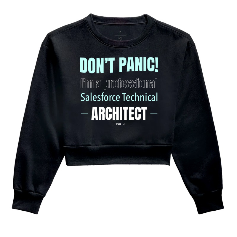 "Don't Panic - Salesforce Professional III" T.I