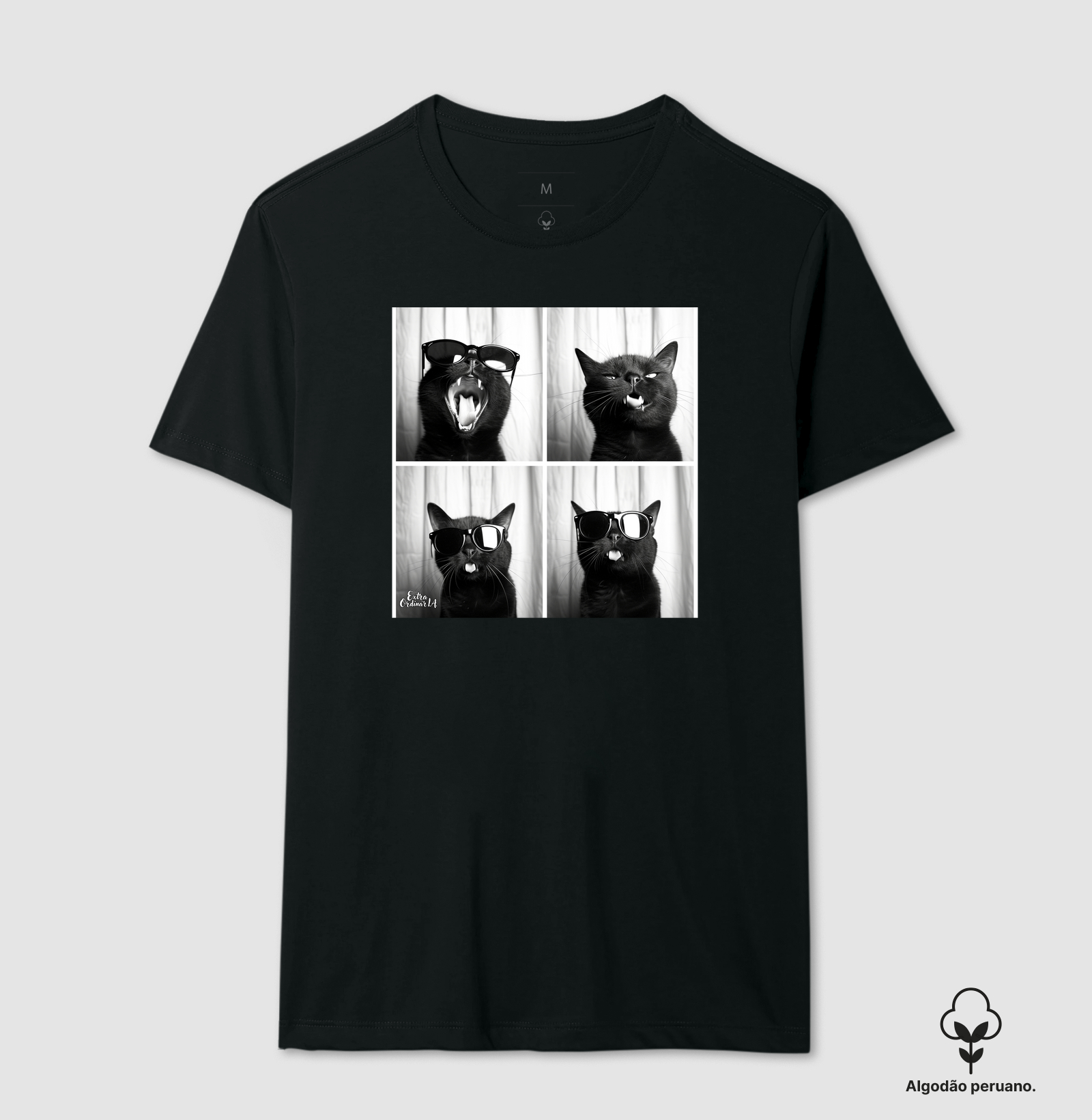 Gato Preto de Oculos Ensaio Fotografico