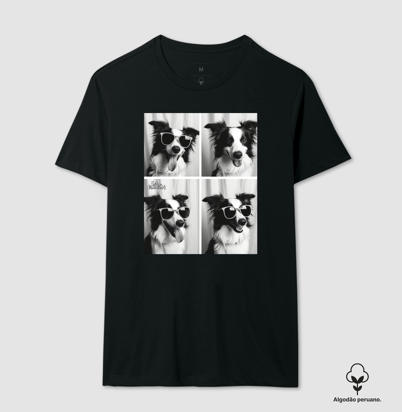 Border Collie Ensaio Photobooh 