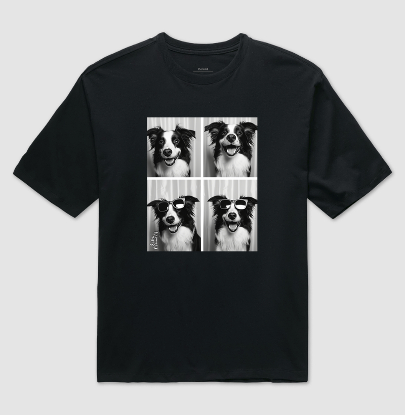 Border Collie Ensaio Fotográfico 