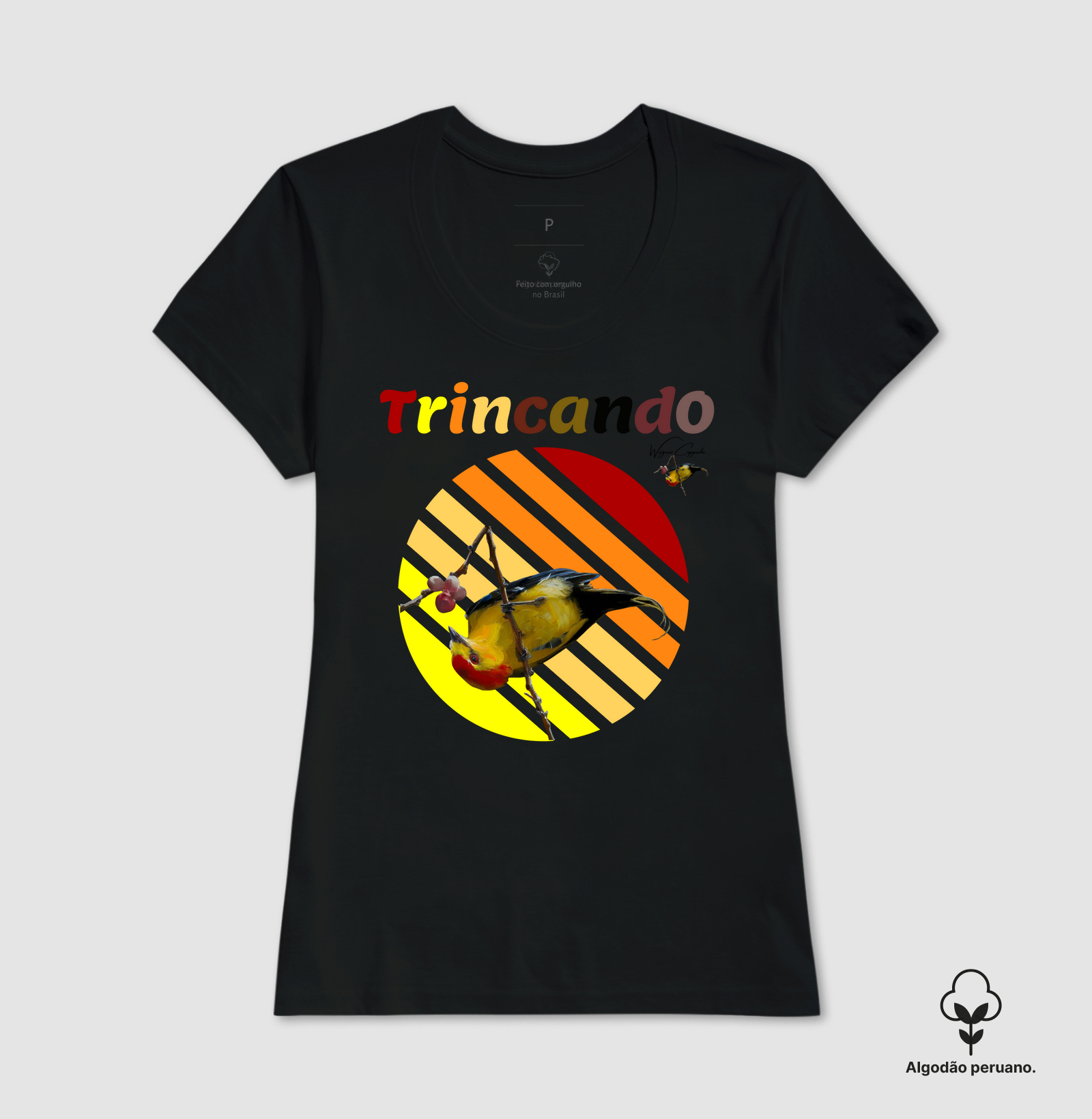 Camisa 2