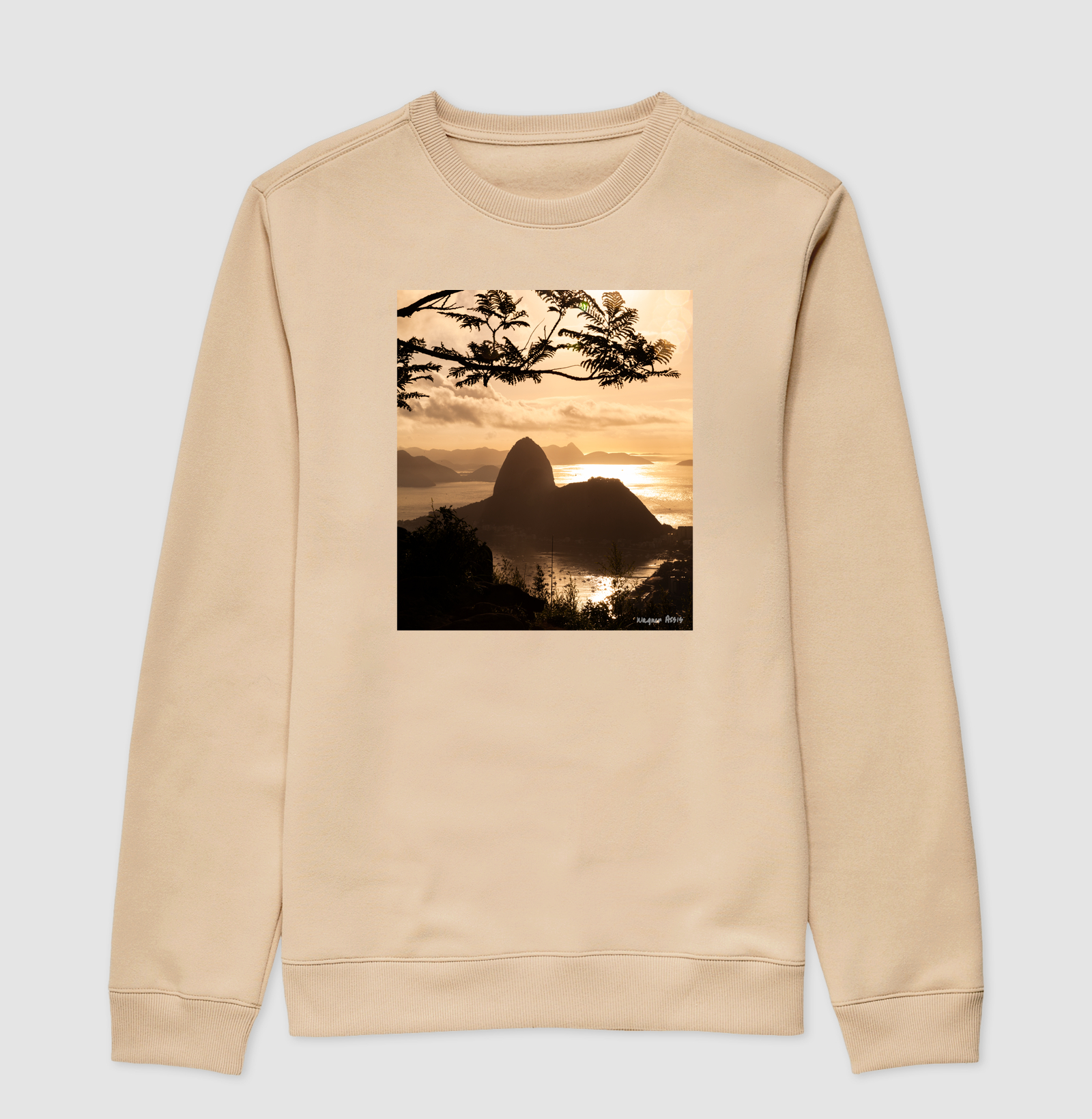 Camisa 2