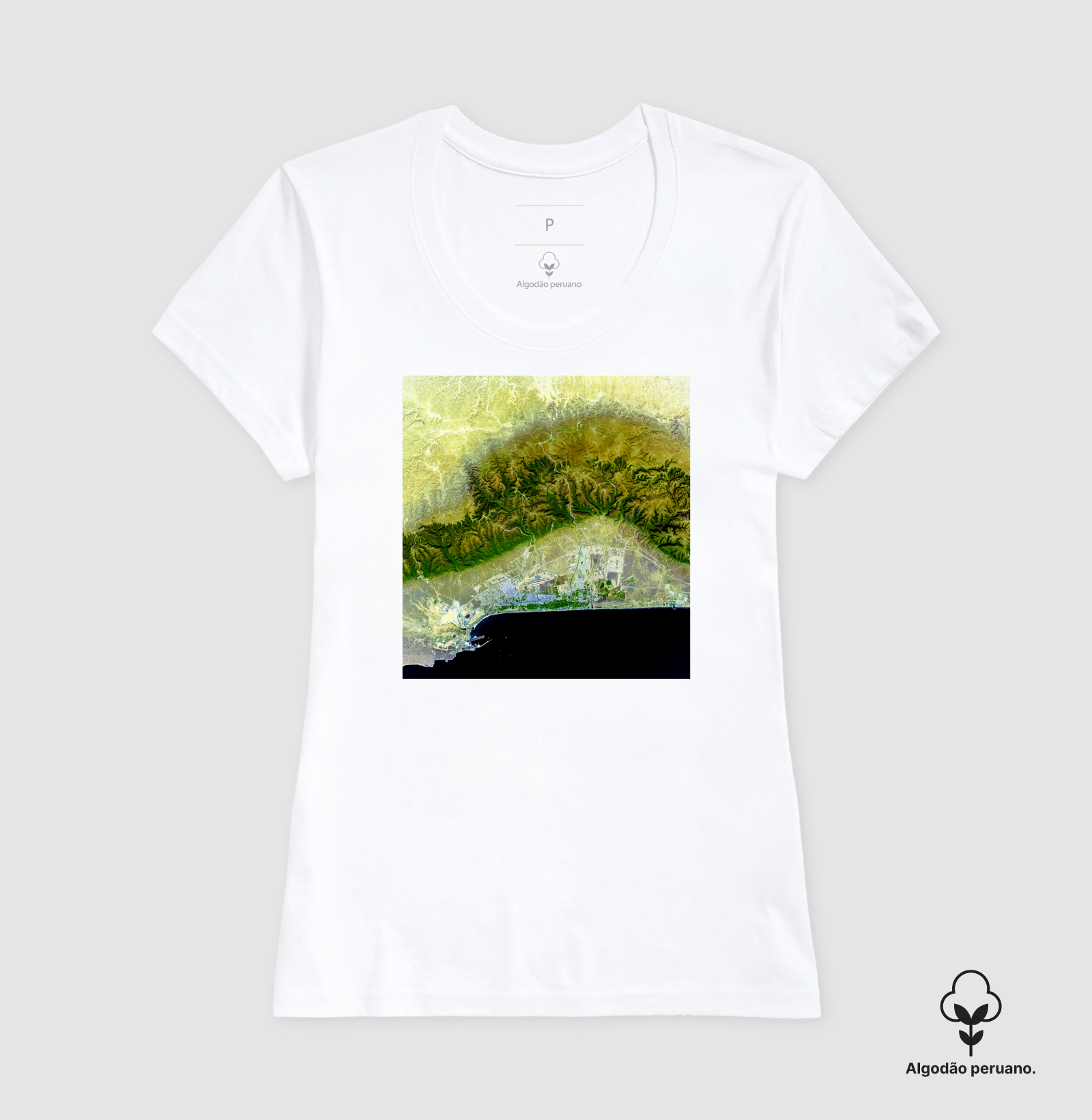 Camisa 2