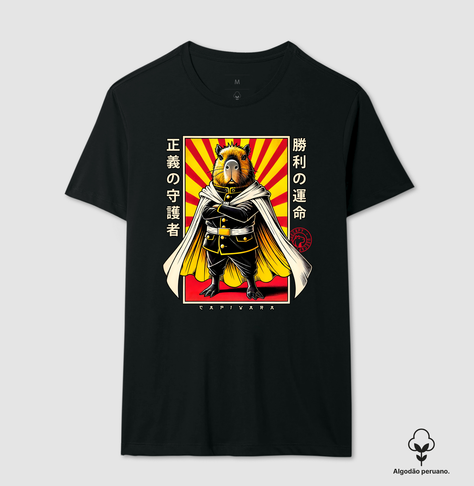 Camisa 1